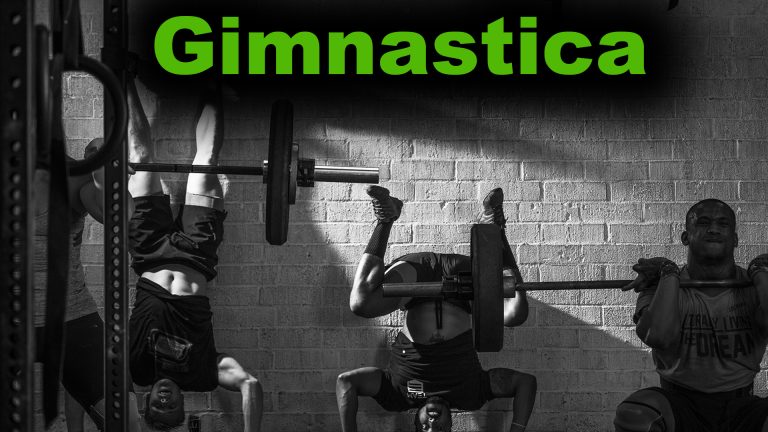Read more about the article Antrenament Gimnastica